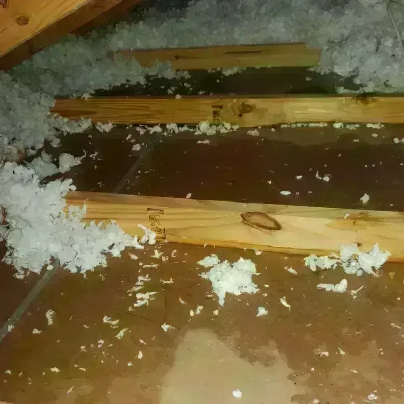 Attic Water Damage in Mapleton, IA